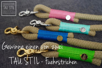Gewinnspiel für Pferdefreunde