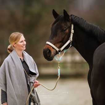 TAU STIL Halfter für Pferde und Ponys