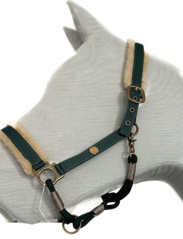 Halfter mit Dornschnalle – tannengrün.tannengrün.taupe – Messing – Gr. Warmblut